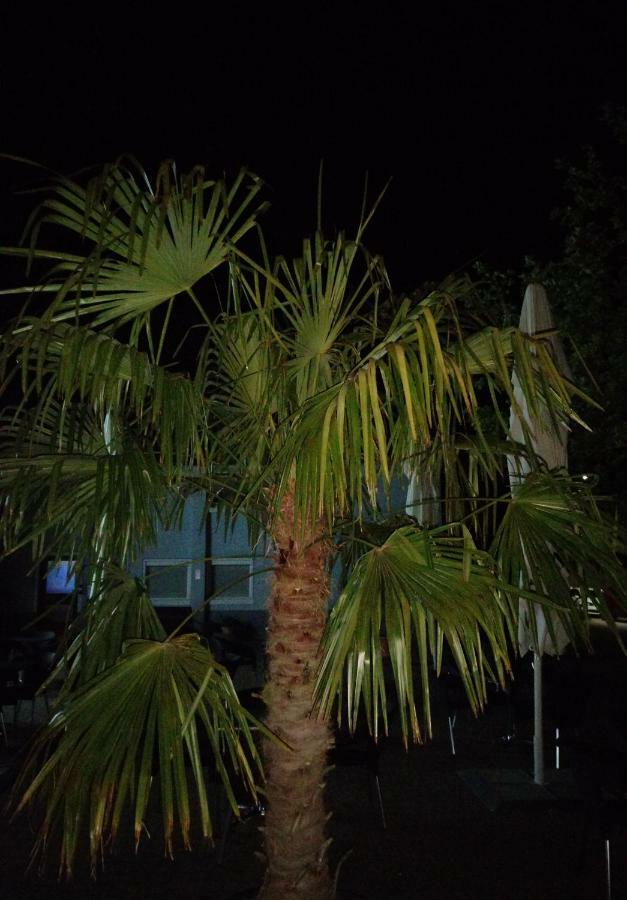 Apartamento Santos Kappel-Grafenhausen Exterior foto